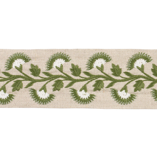 Sample - 85654 | Lottie Tape, Moss - Schumacher Trim