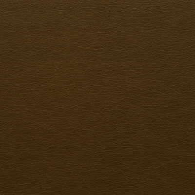 Gato.66.0 | Kravet Design,  - Kravet Design Fabric