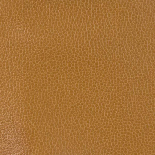 Gillian.124.0 | Kravet Design,  - Kravet Design Fabric