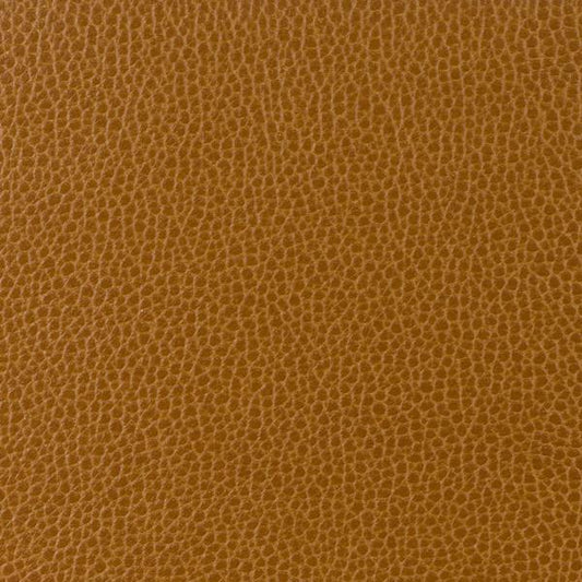 Gillian.24.0 | Kravet Design,  - Kravet Design Fabric