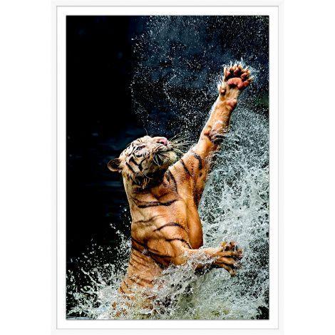 Tiger Jump 1 Wall Art in Shadowbox Frame